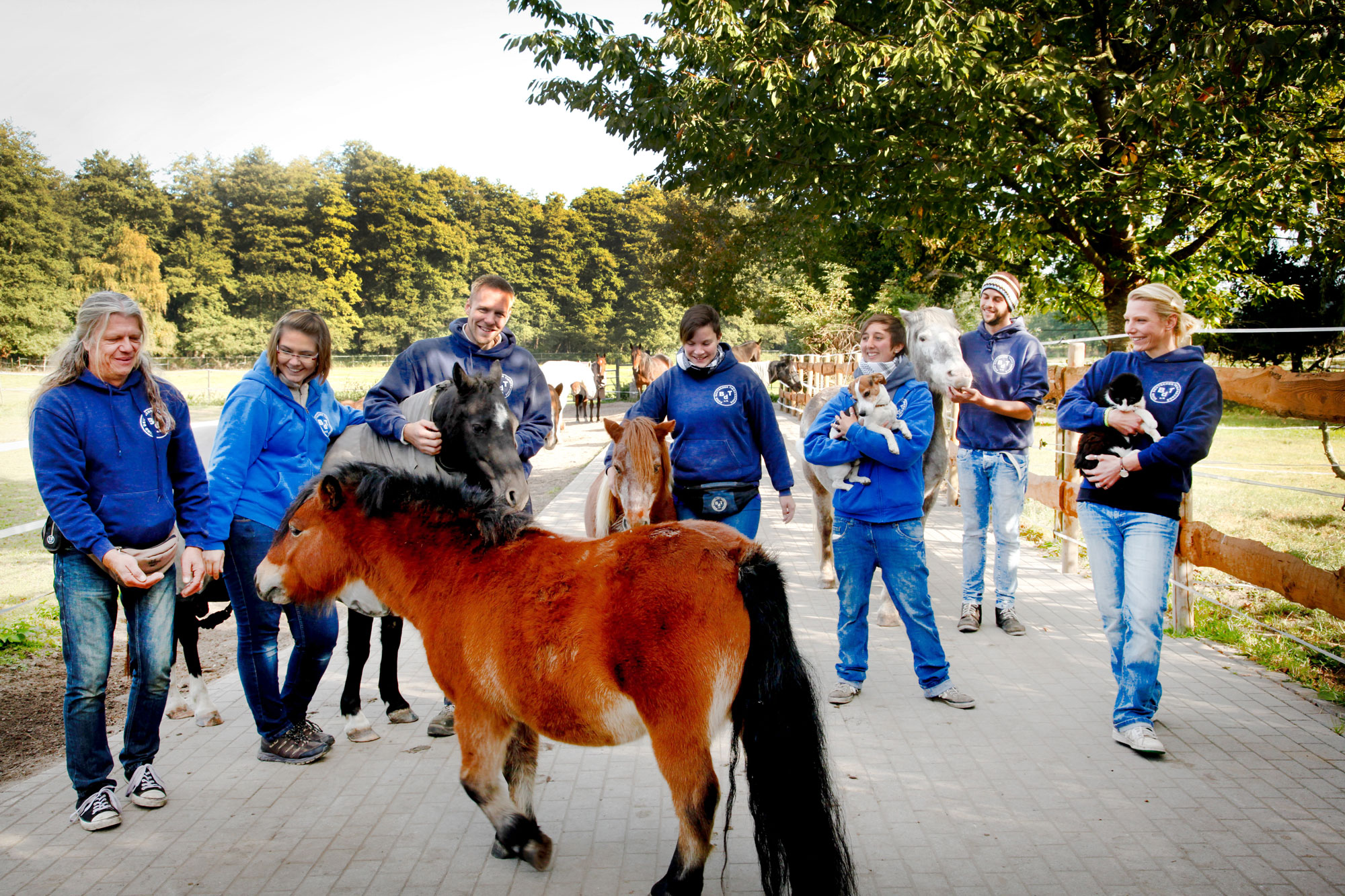 BDT-Tierherberge Kamp-Lintfort sucht Unterstützung (Die Bildrechte liegen bei dem Verfasser der Mitteilung.)