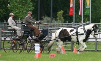 Ebner’s Waldhof veranstaltet Pferdefest auf der Haslgutwiese 