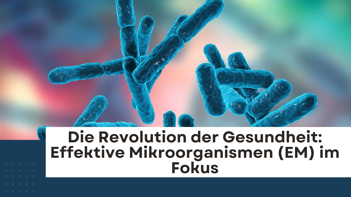 Ferment Effect GmbH - Mikroorganismen (Die Bildrechte liegen bei dem Verfasser der Mitteilung.) Ferment Effect GmbH - Mikroorganismen (Die Bildrechte liegen bei dem Verfasser der Mitteilung.)