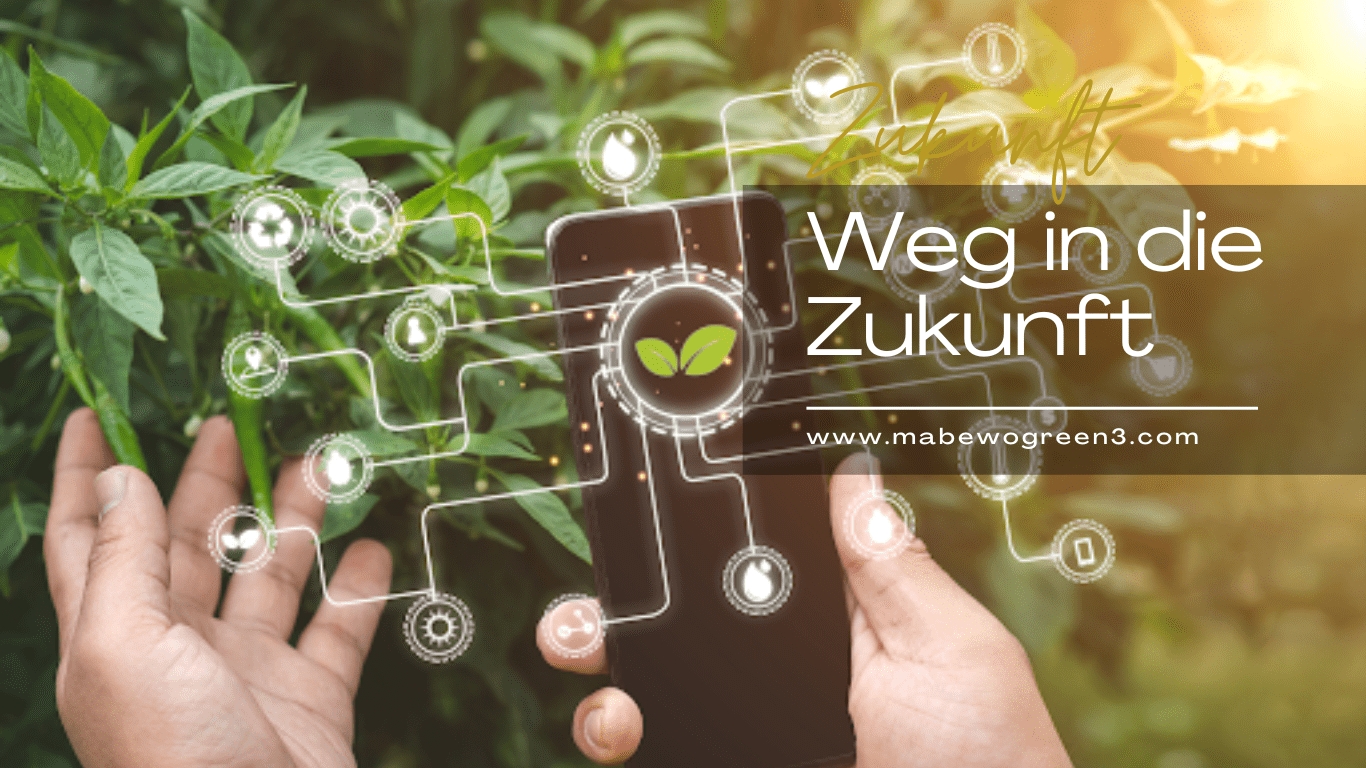 MABEWO - Weg in die Zukunft (Die Bildrechte liegen bei dem Verfasser der Mitteilung.) MABEWO - Weg in die Zukunft (Die Bildrechte liegen bei dem Verfasser der Mitteilung.)