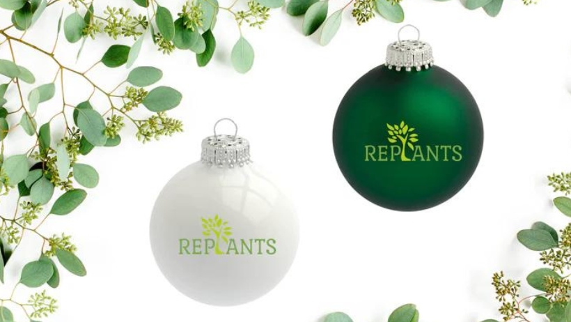 Replants (Die Bildrechte liegen bei dem Verfasser der Mitteilung.) Replants (Die Bildrechte liegen bei dem Verfasser der Mitteilung.)