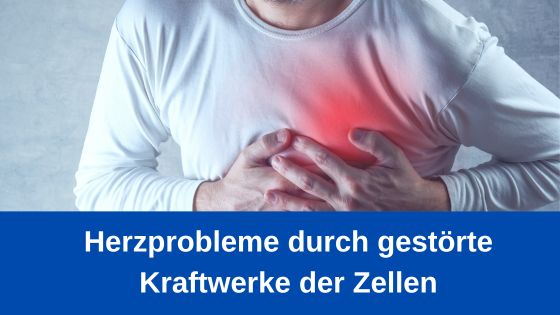 Herzprobleme durch gestörte Kraftwerke der Zellen / Redaktion bioresonanz-zukunft.de (Die Bildrechte liegen bei dem Verfasser der Mitteilung.) Herzprobleme durch gestörte Kraftwerke der Zellen / Redaktion bioresonanz-zukunft.de (Die Bildrechte liegen bei dem Verfasser der Mitteilung.)