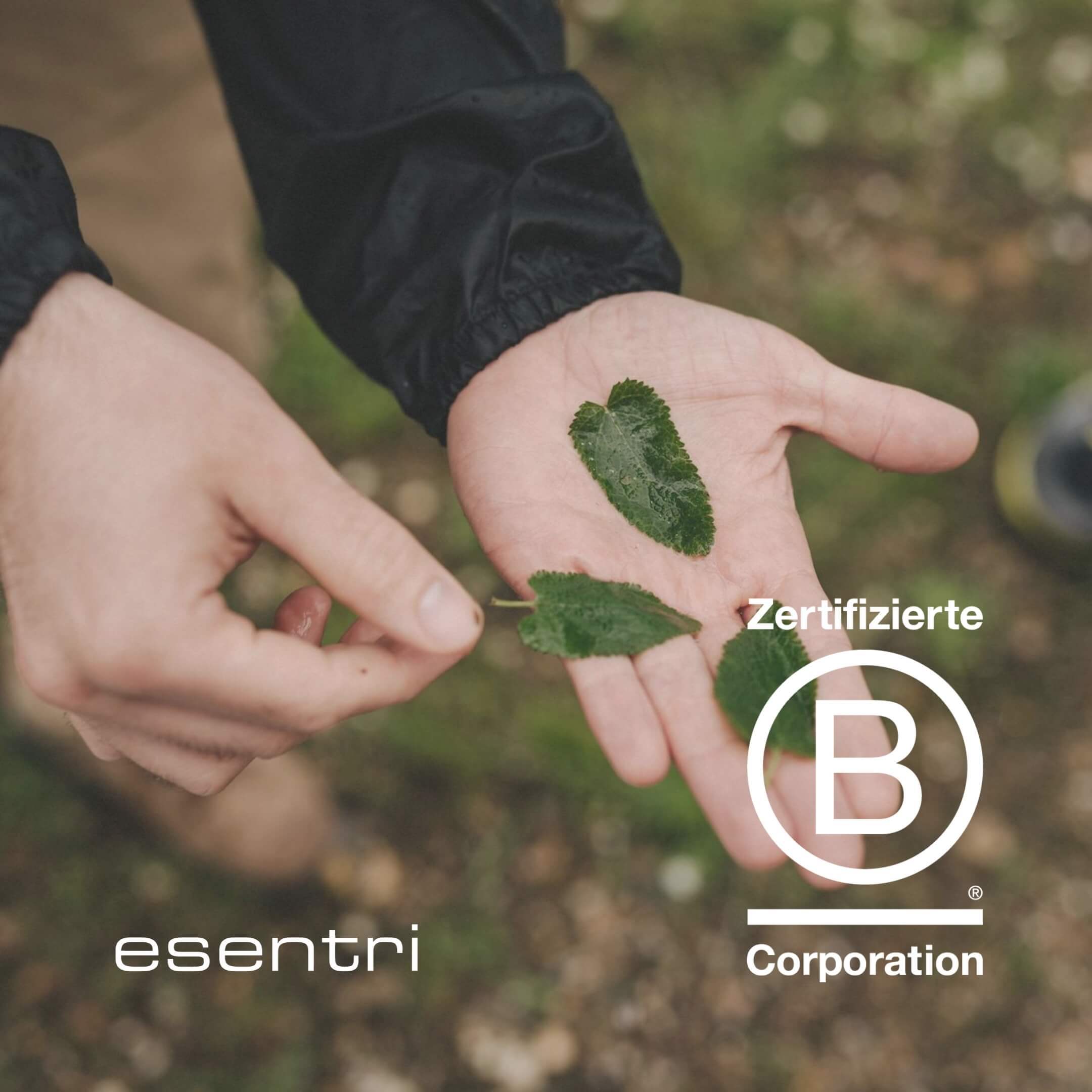 esentri AG als B Corp Unternehmen zertifiziert (Die Bildrechte liegen bei dem Verfasser der Mitteilung.) esentri AG als B Corp Unternehmen zertifiziert (Die Bildrechte liegen bei dem Verfasser der Mitteilung.)