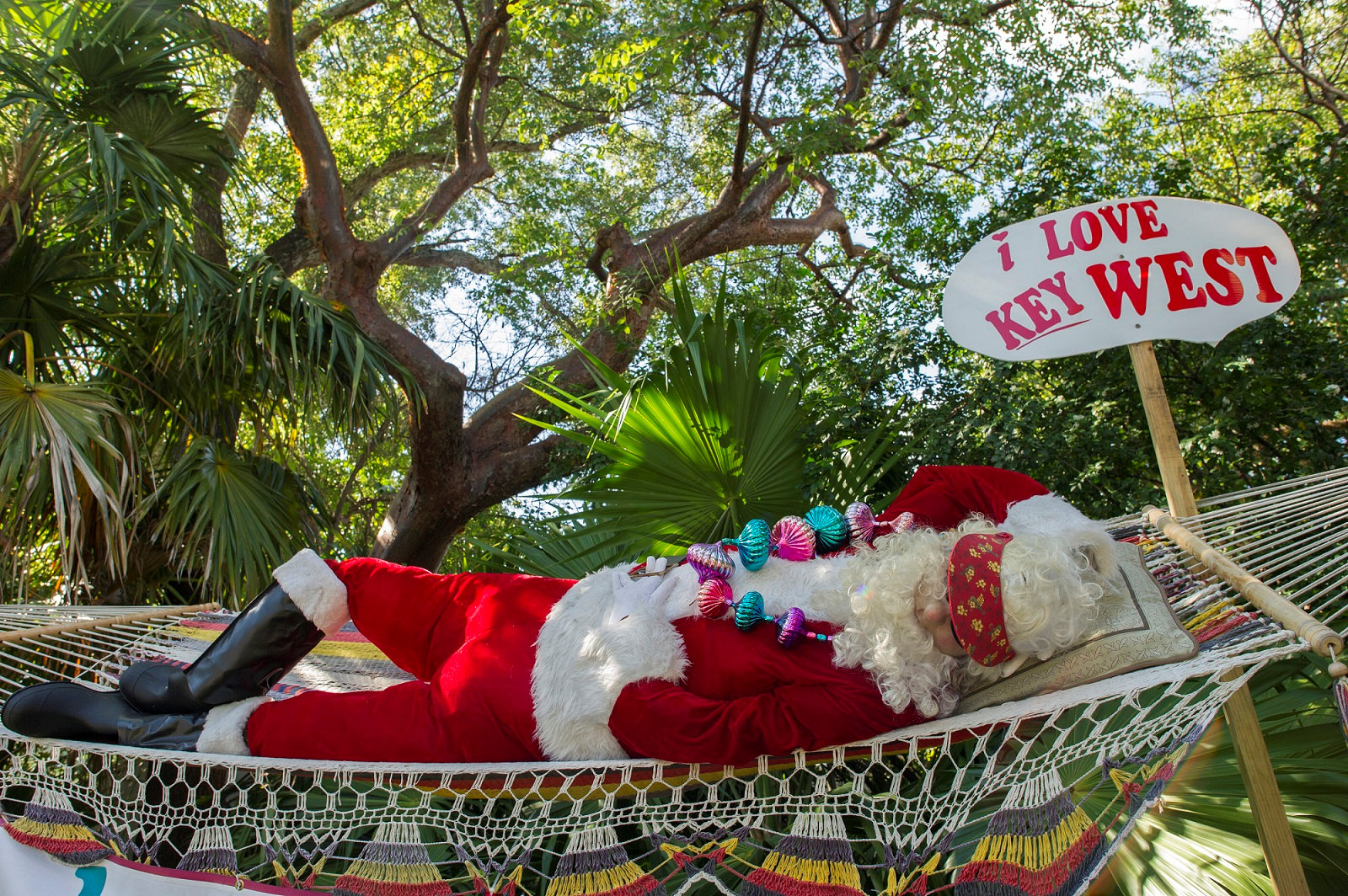 Festlich, fröhlich und entspannt geht es auf den Florida Keys zur Festtagszeit zu. (Bildquelle: Rob O'Neal) Festlich, fröhlich und entspannt geht es auf den Florida Keys zur Festtagszeit zu. (Bildquelle: Rob O'Neal)
