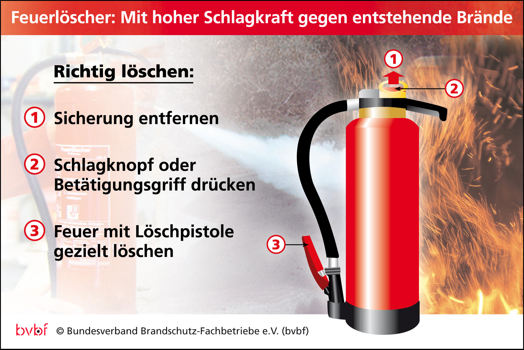 (Die Bildrechte liegen bei dem Verfasser der Mitteilung.) (Die Bildrechte liegen bei dem Verfasser der Mitteilung.)