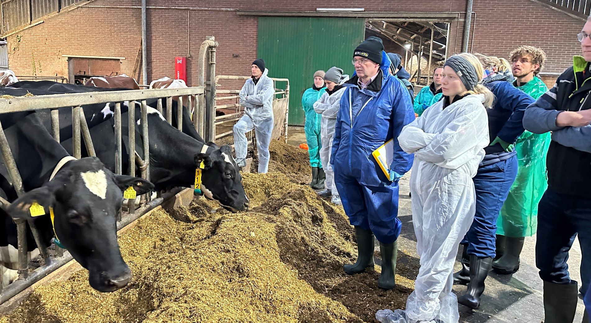 Praktische Übungen mit gemeinsamer Evaluierung der AVA-Kursteilnehmer -Tierärzte +Landwirte 