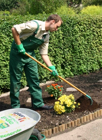 Naturprofi: Stickstoffkreislauf - Blumenerde mit Xylit-Fasern fördert die Nährstoff-Balance Naturprofi: Stickstoffkreislauf - Blumenerde mit Xylit-Fasern fördert die Nährstoff-Balance