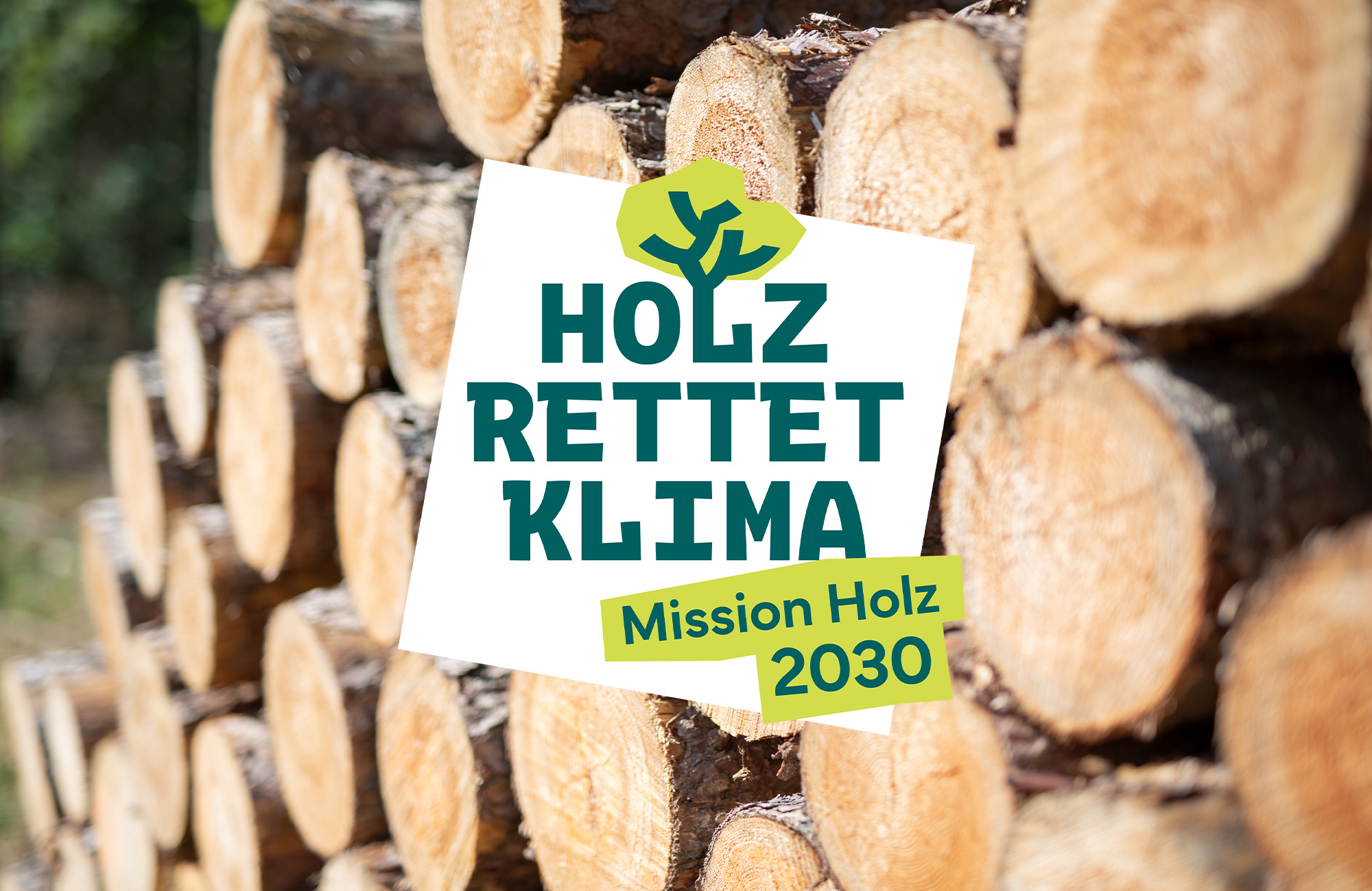 Hanse Haus unterstützt die Initiative „Holz rettet Klima“ Hanse Haus unterstützt die Initiative „Holz rettet Klima“
