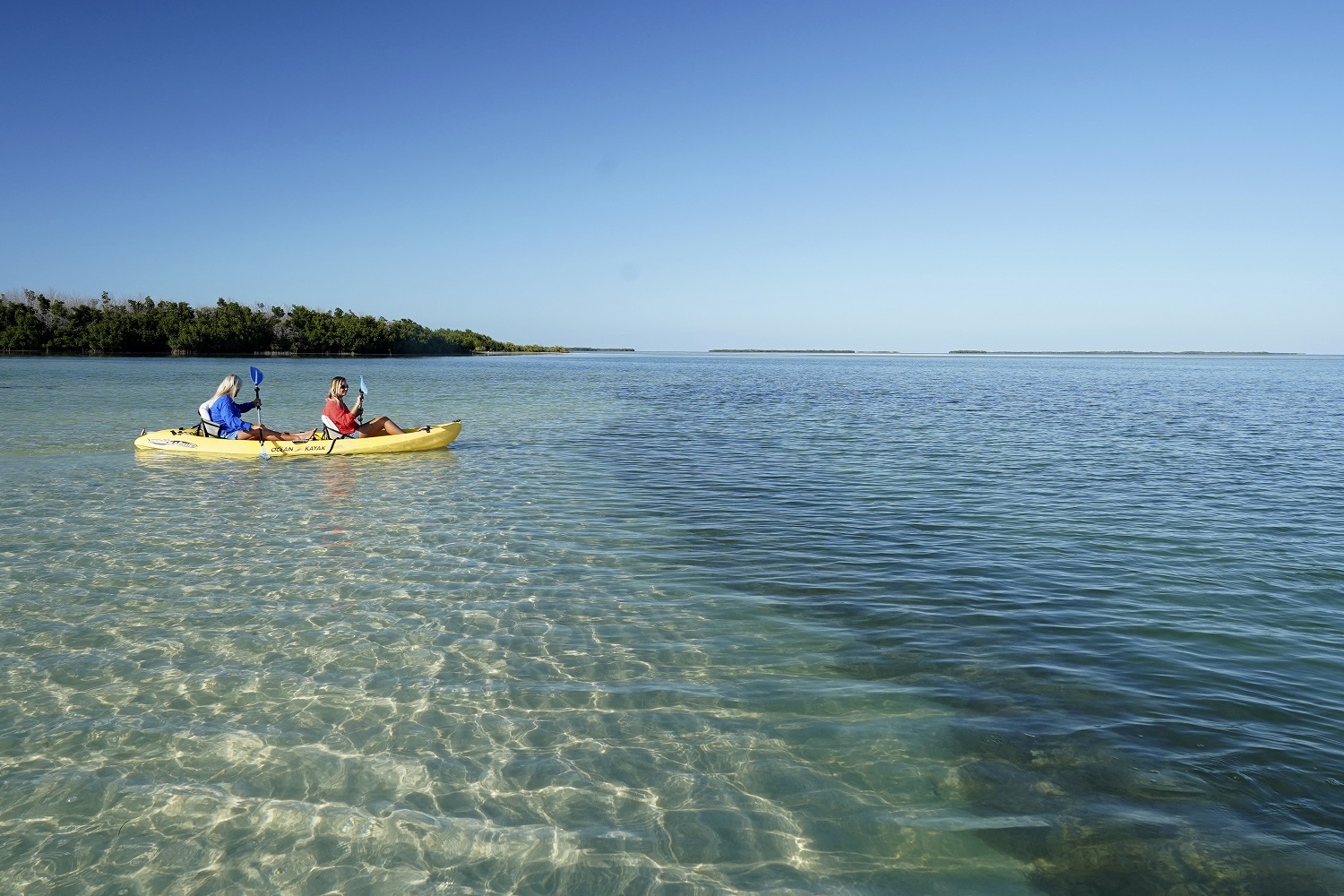 Bei Kajaktouren lässt sich die maritime Fauna und Flora der Florida Keys erleben. (Bildquelle: Rob O'Neal, Florida Keys News Bureau) Bei Kajaktouren lässt sich die maritime Fauna und Flora der Florida Keys erleben. (Bildquelle: Rob O'Neal, Florida Keys News Bureau)