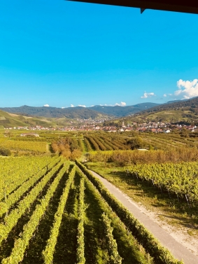 (Bildquelle: Stadt Bühl)
