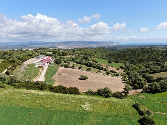 Finca la Mimbre