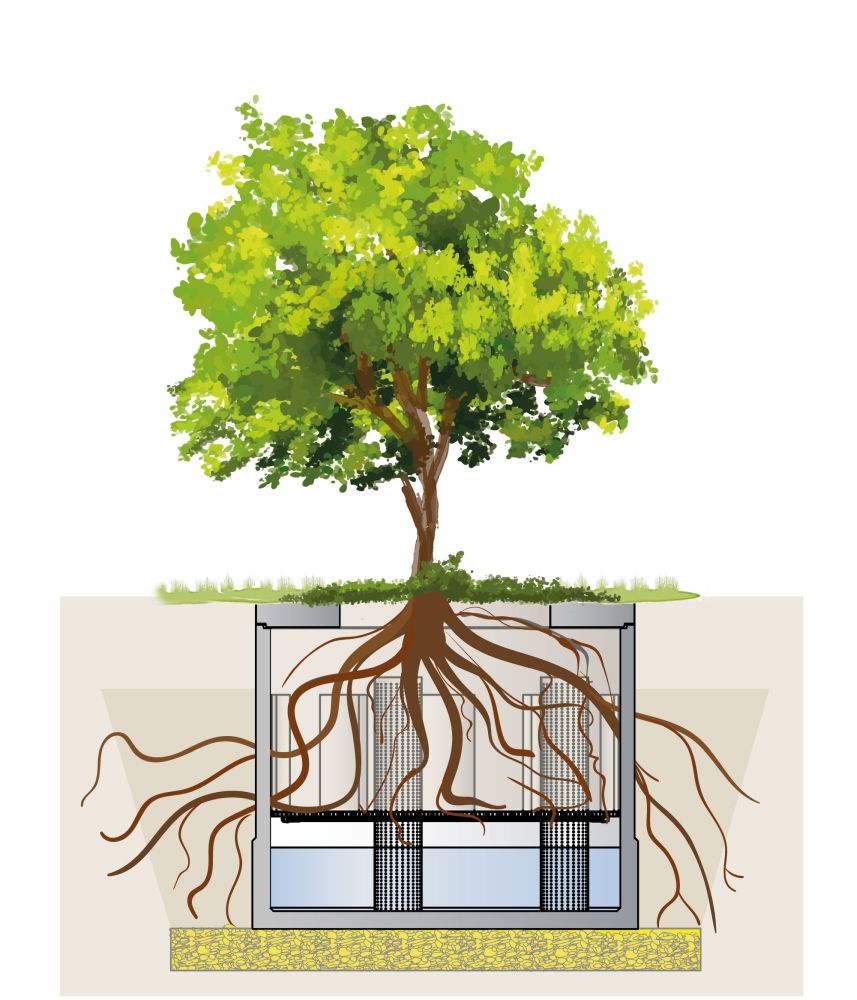 Die neue Baumrigole ViaTree von Mall bietet Stadtbäumen ideale Bedingungen. (Die Bildrechte liegen bei dem Verfasser der Mitteilung.) Die neue Baumrigole ViaTree von Mall bietet Stadtbäumen ideale Bedingungen. (Die Bildrechte liegen bei dem Verfasser der Mitteilung.)