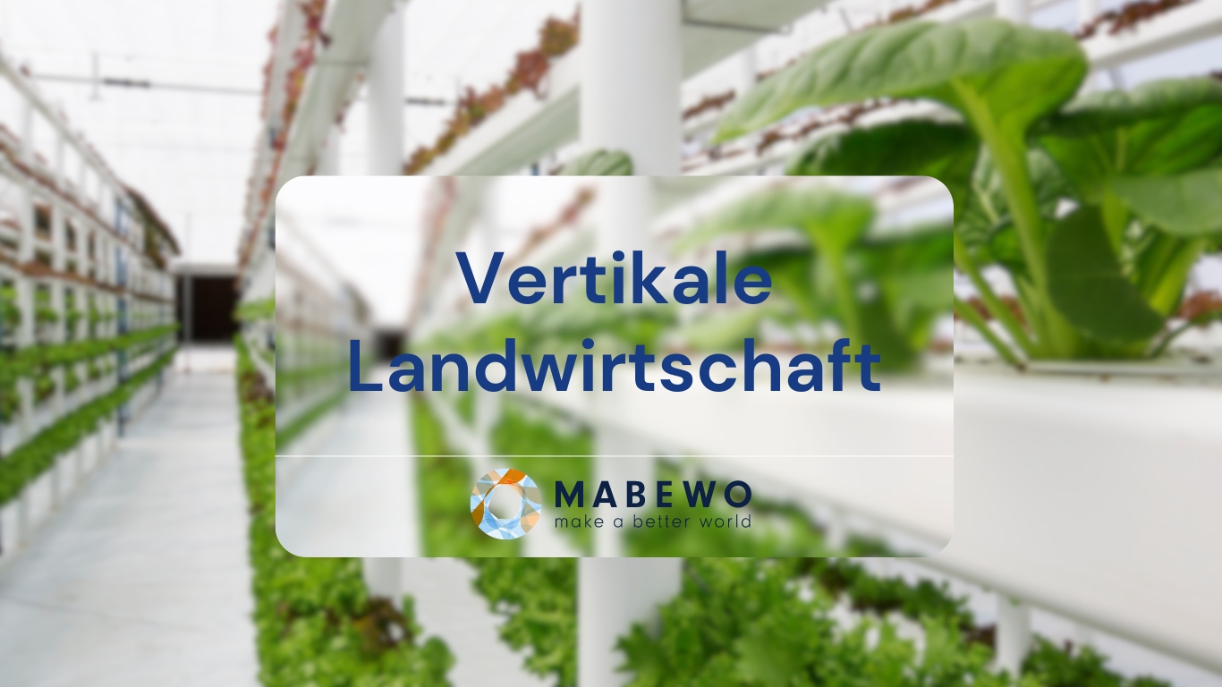 MABEWO - Vertikale Landwirtschaft (Die Bildrechte liegen bei dem Verfasser der Mitteilung.)