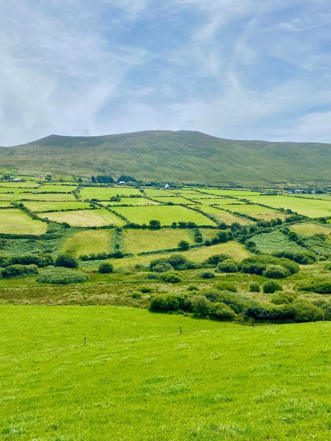 Irland lockt mit fröhlichen Menschen und grüner Natur Austauschschüler aus aller Welt an. (© international EXPERIENCE e. V.) Irland lockt mit fröhlichen Menschen und grüner Natur Austauschschüler aus aller Welt an. (© international EXPERIENCE e. V.)