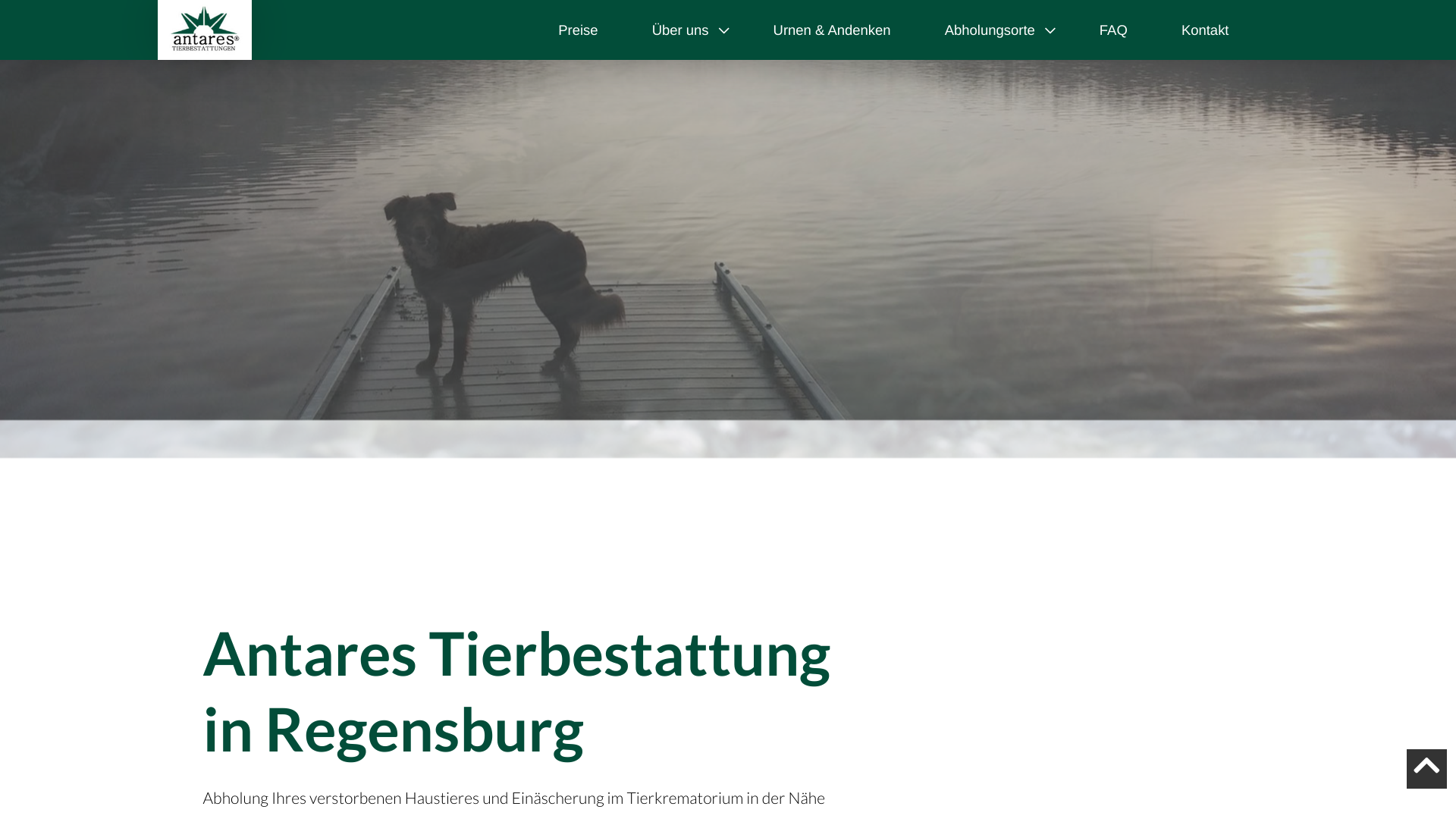 Antares Tierbestattung Regensburg: Ihr vertrauenswürdiger Partner für einfühlsame Tierbestattungen