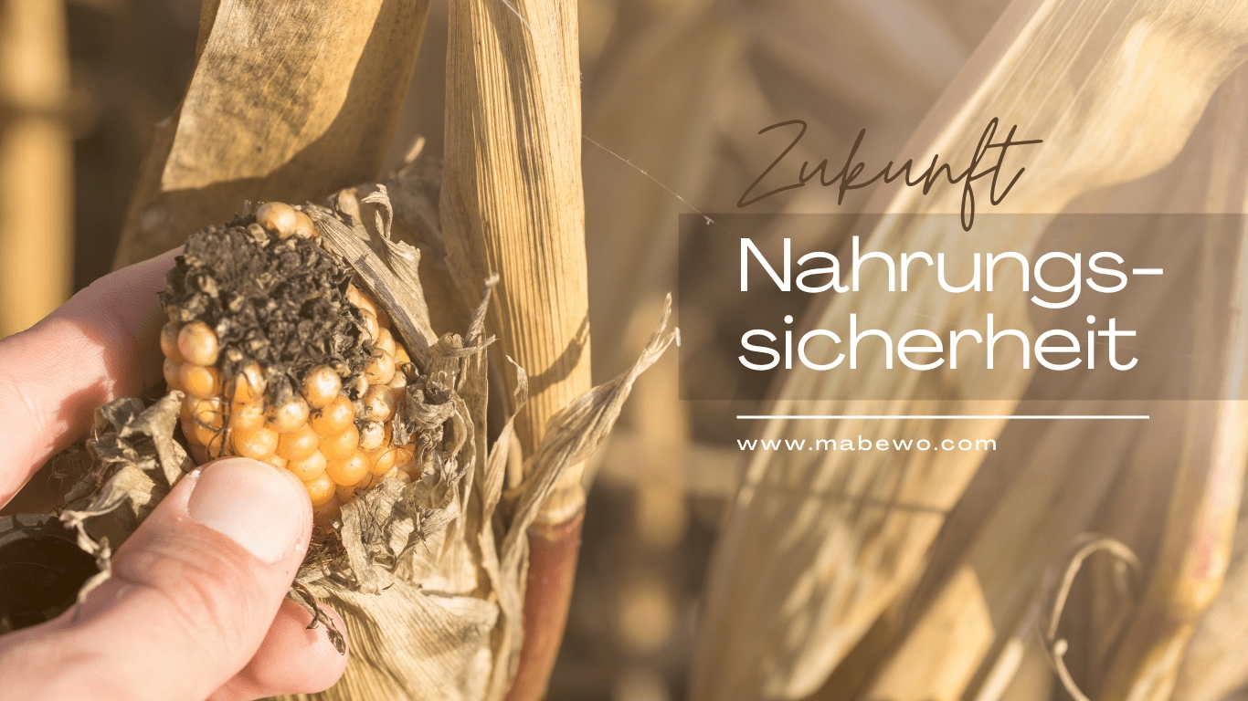 MABEWO - Nahrungssicherheit (Die Bildrechte liegen bei dem Verfasser der Mitteilung.) MABEWO - Nahrungssicherheit (Die Bildrechte liegen bei dem Verfasser der Mitteilung.)
