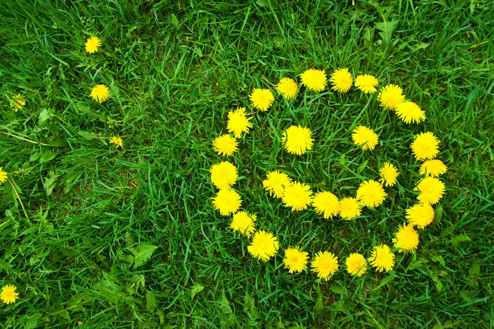 Life Coaching für die Seele (Die Bildrechte liegen bei dem Verfasser der Mitteilung.) Life Coaching für die Seele (Die Bildrechte liegen bei dem Verfasser der Mitteilung.)
