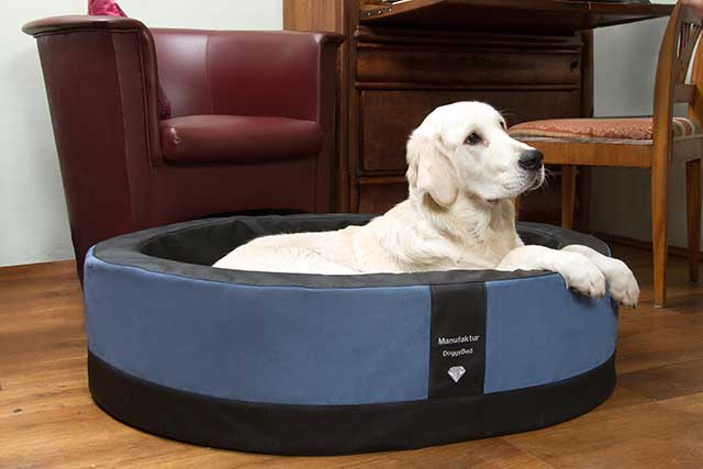 Hundekorb Paddy (Die Bildrechte liegen bei dem Verfasser der Mitteilung.)
