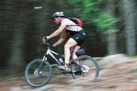 Das „fahrRADies“ im Landhaus „Zu den Rothen Forellen“ bietet Urlaubern besten Radservice. Das „fahrRADies“ im Landhaus „Zu den Rothen Forellen“ bietet Urlaubern besten Radservice.