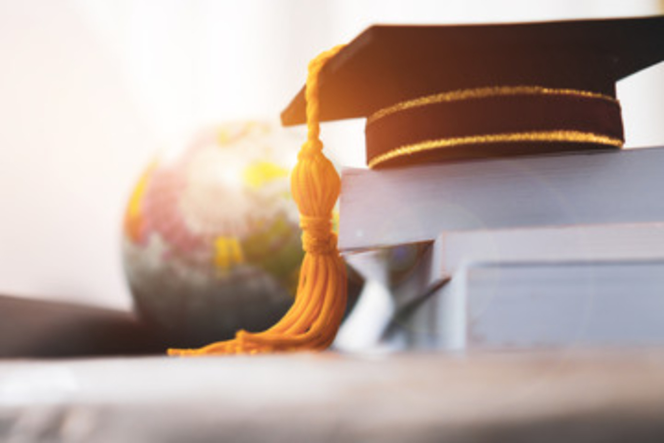 Welches Studium wähle ich? - Bildungsinstitut Wirtschaft