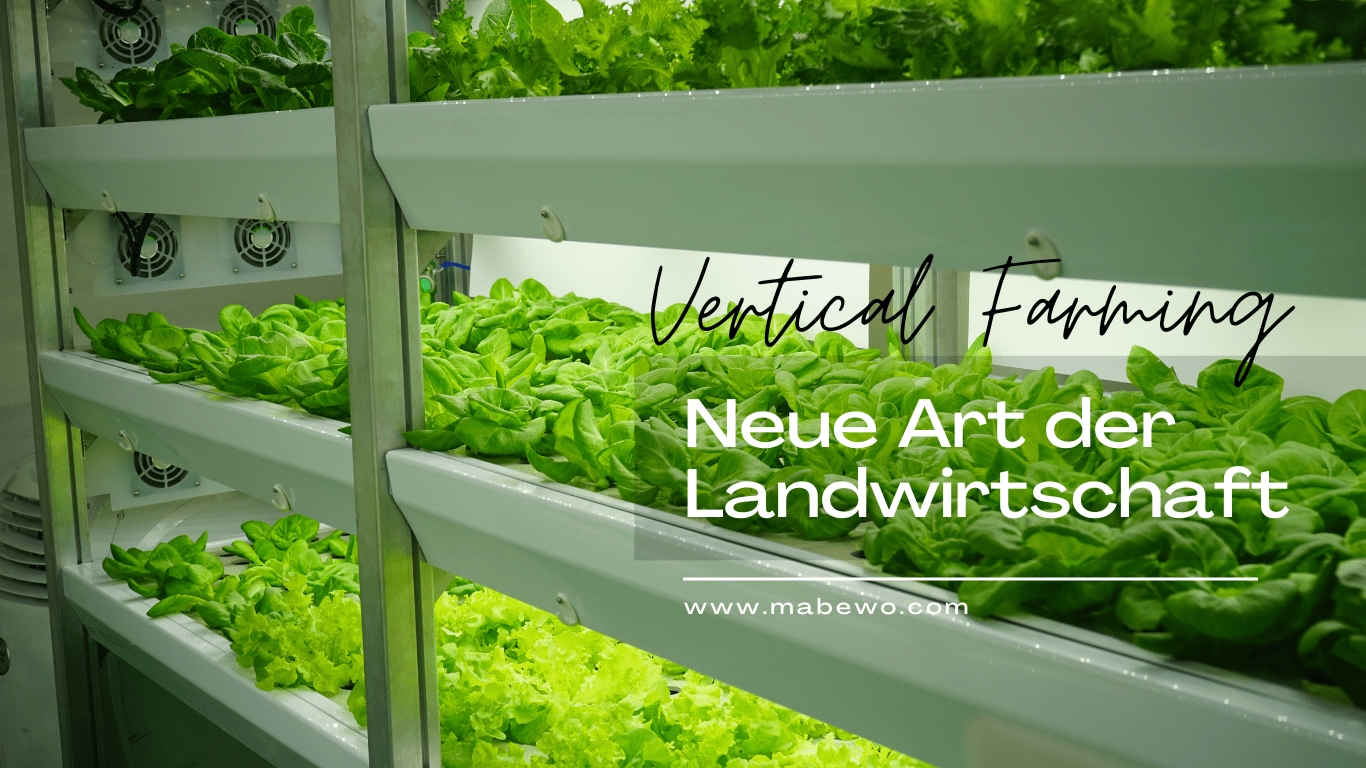 MABEWO - Vertical Farming (Die Bildrechte liegen bei dem Verfasser der Mitteilung.) MABEWO - Vertical Farming (Die Bildrechte liegen bei dem Verfasser der Mitteilung.)