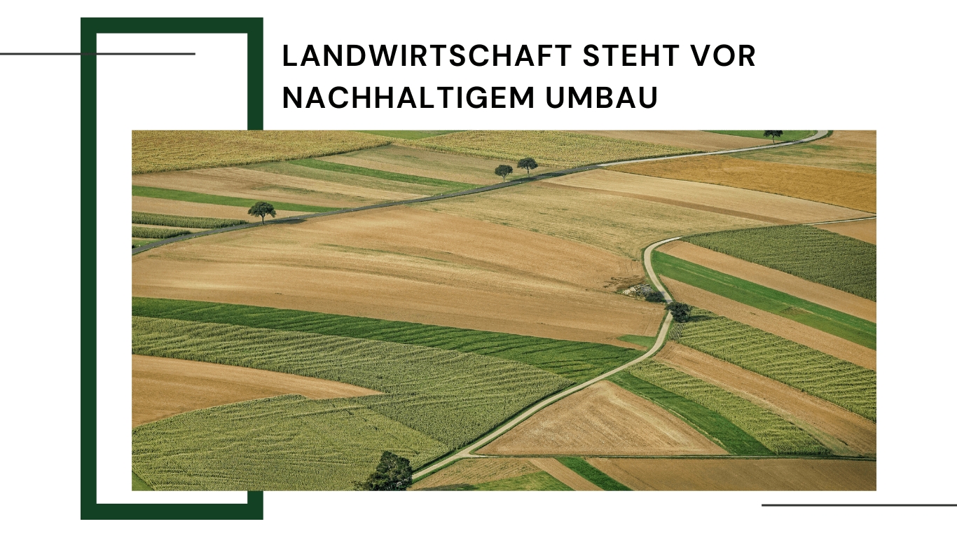 MABEWO - Nachhaltige Landwirtschaft (Die Bildrechte liegen bei dem Verfasser der Mitteilung.)