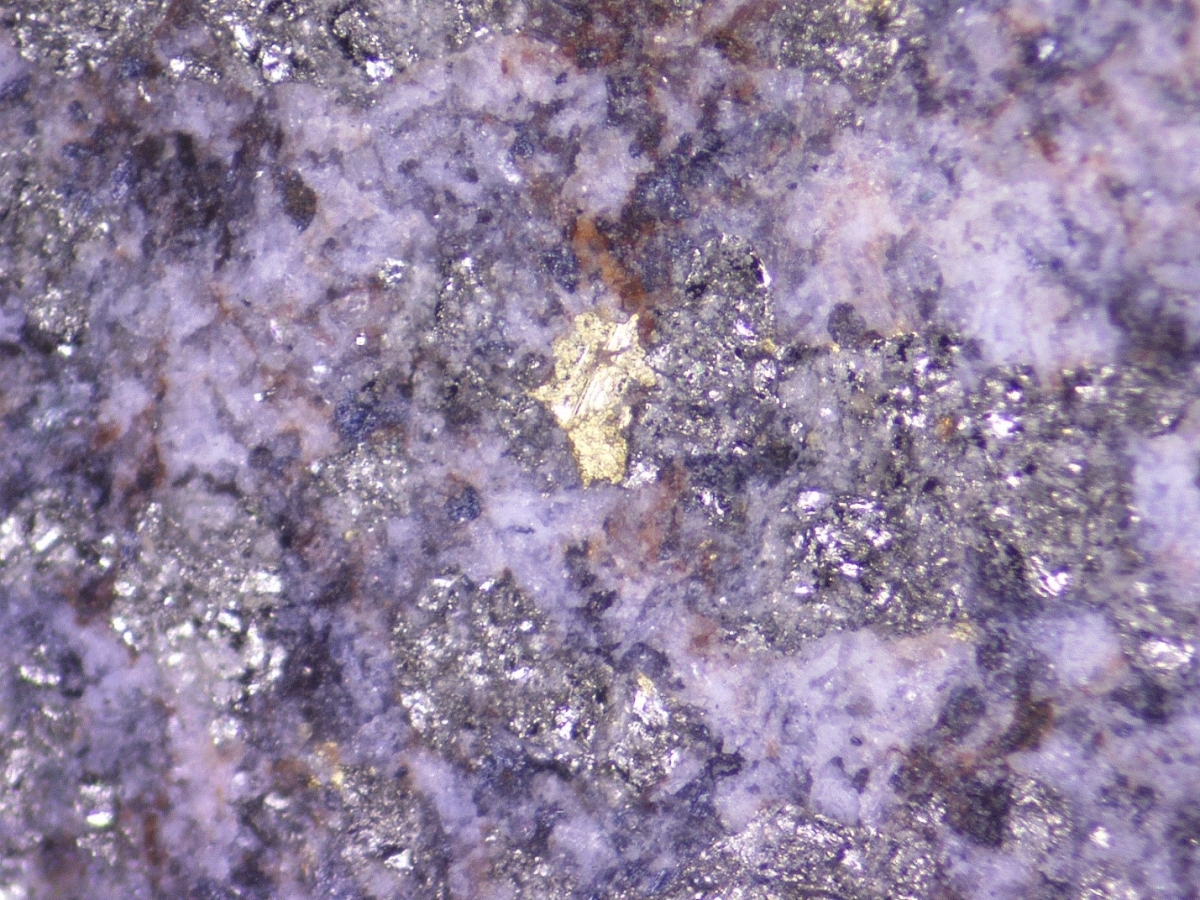 Sichtbares Gold; GoldShore Resources Sichtbares Gold; GoldShore Resources