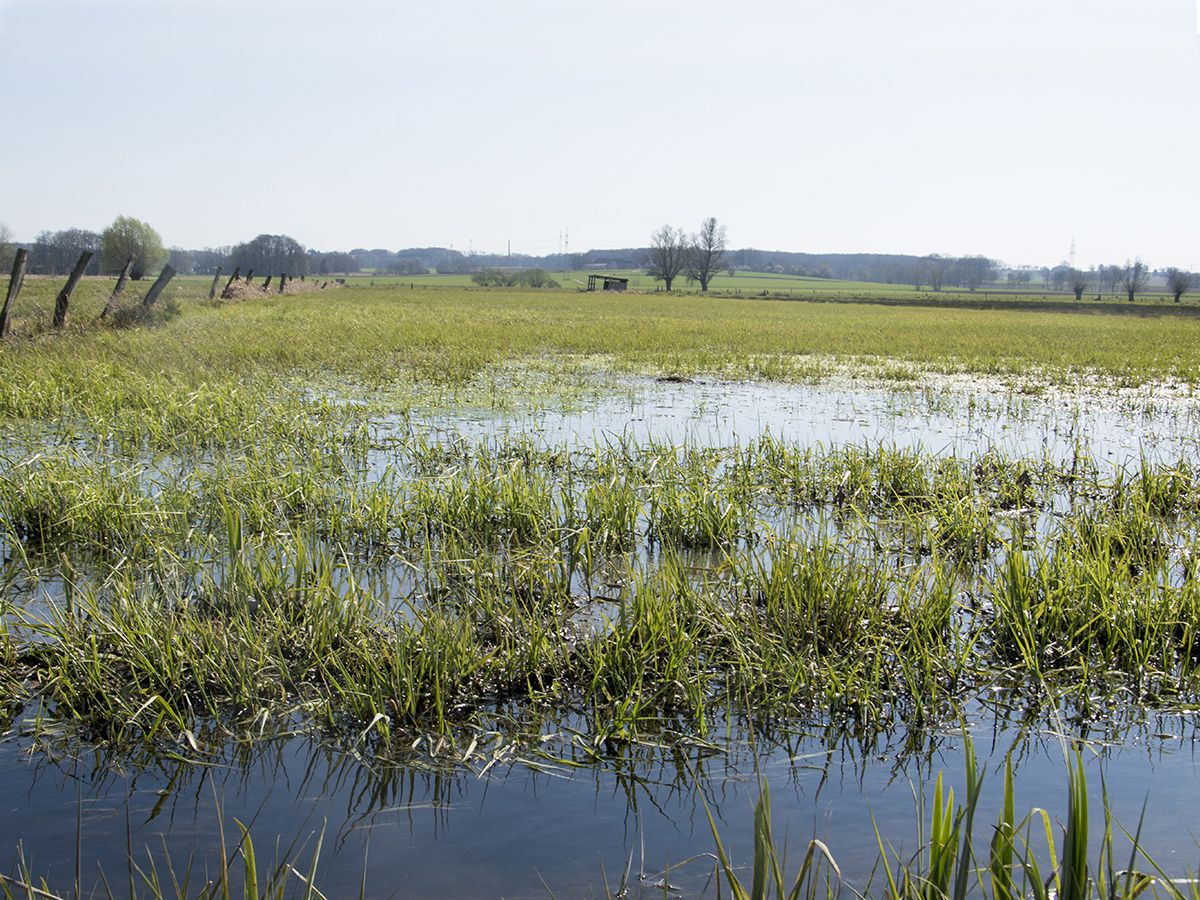 Überschwemmungen, Staunässe (© iStockphoto.com) Überschwemmungen, Staunässe (© iStockphoto.com)