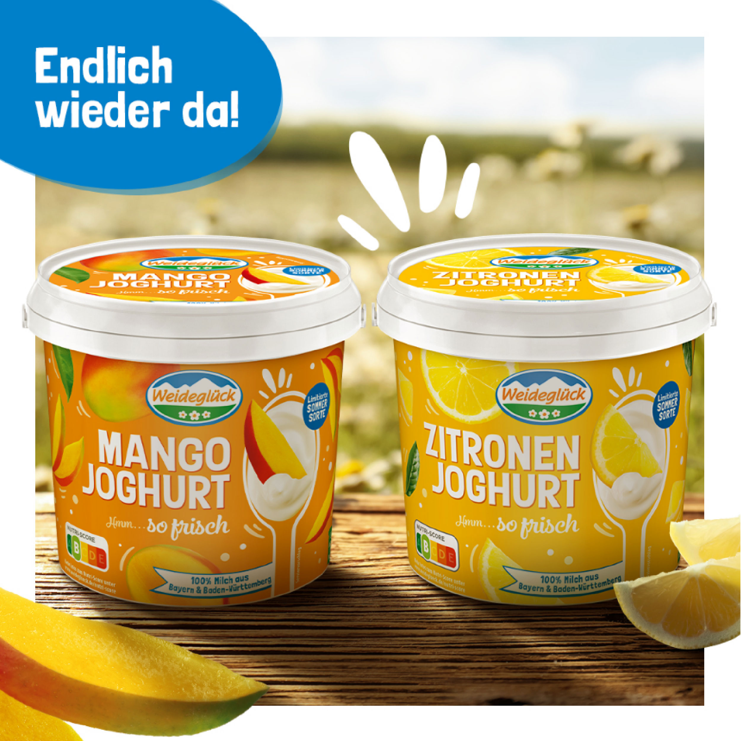 (Bildquelle: Milchwerke Schwaben) (Bildquelle: Milchwerke Schwaben)
