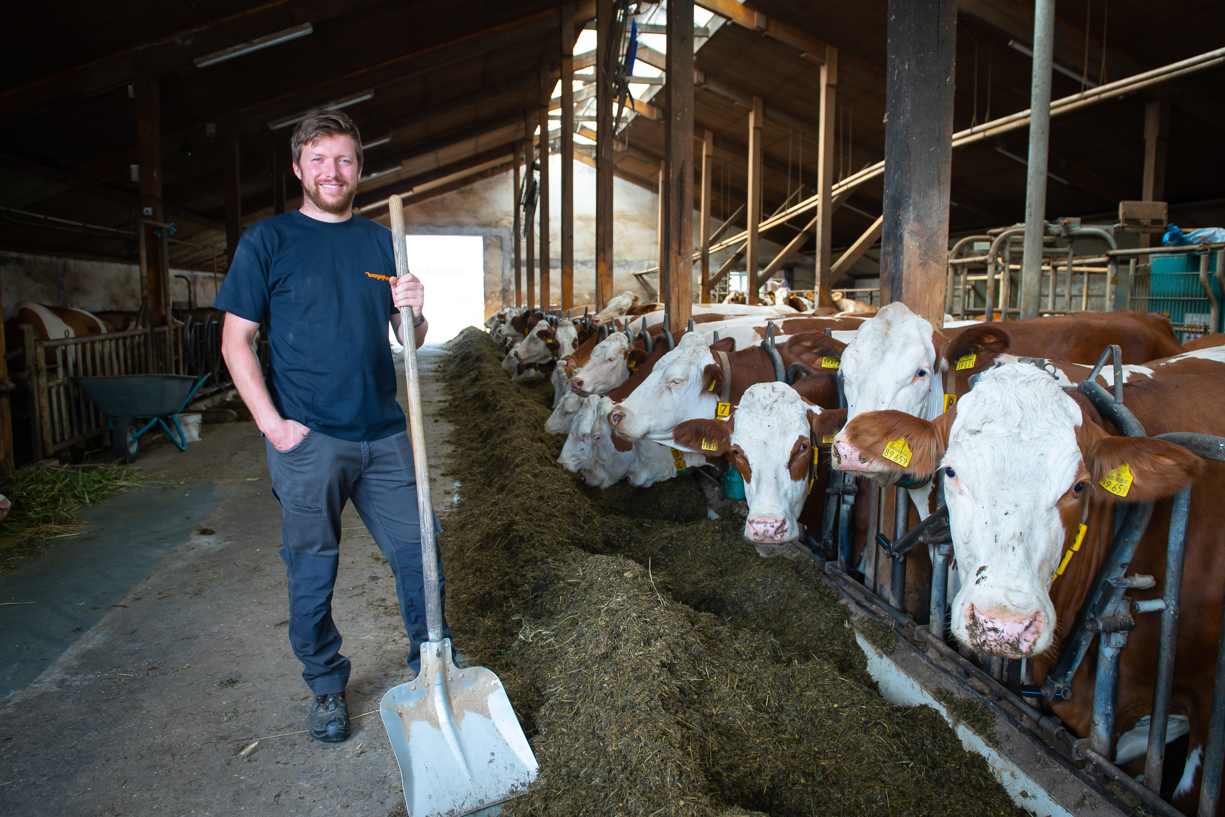 Photovoltaik Landwirtschaft