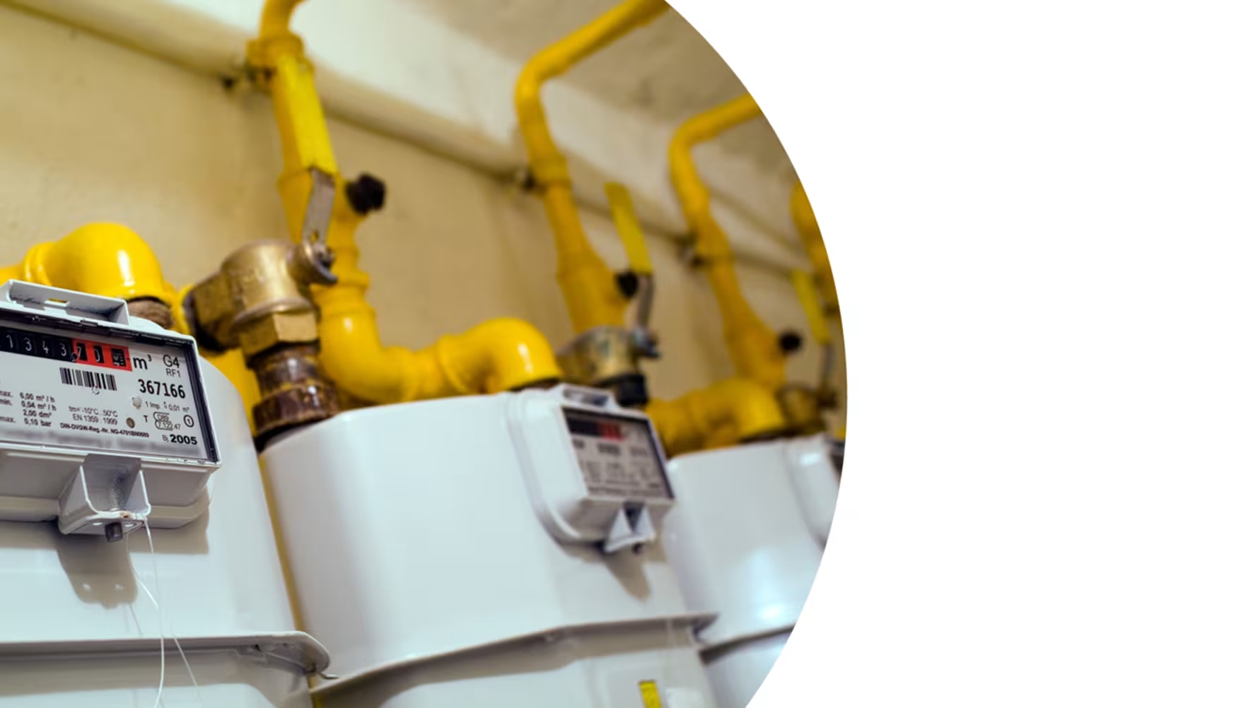 Prüfung der Gas-Hausanschlüsse durch die Schleswig-Holstein Netz AG Prüfung der Gas-Hausanschlüsse durch die Schleswig-Holstein Netz AG