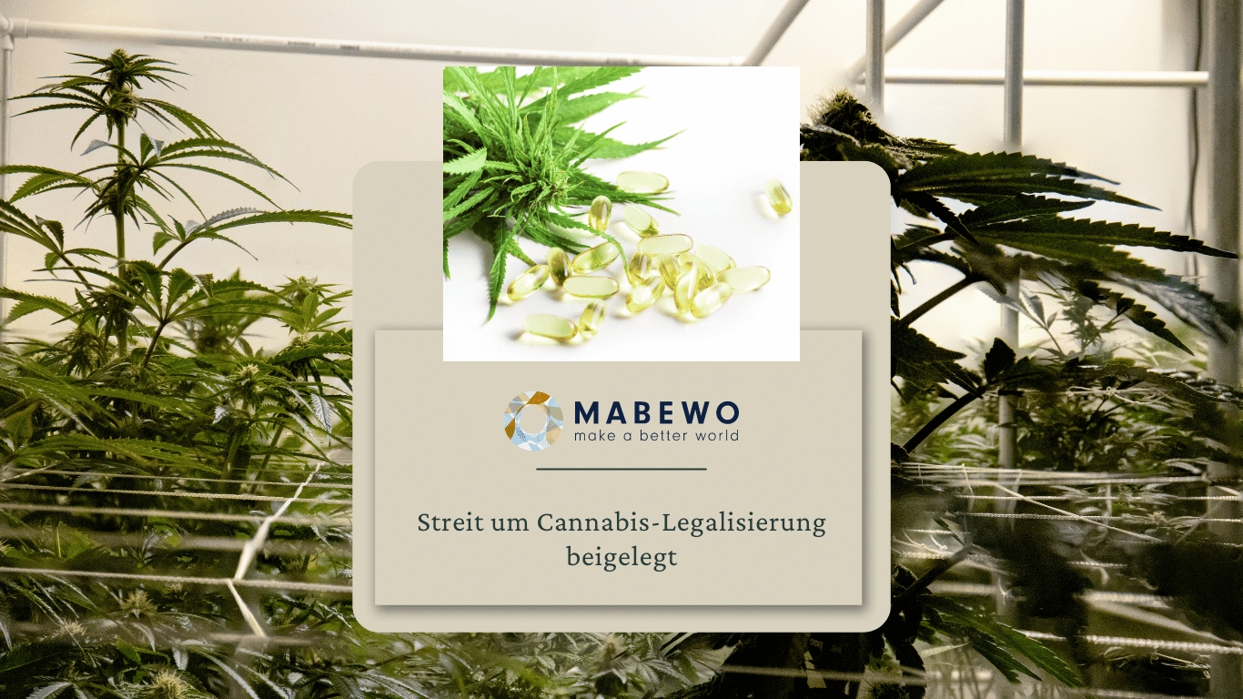 MABEWO - Cannabis Streit (Die Bildrechte liegen bei dem Verfasser der Mitteilung.) MABEWO - Cannabis Streit (Die Bildrechte liegen bei dem Verfasser der Mitteilung.)