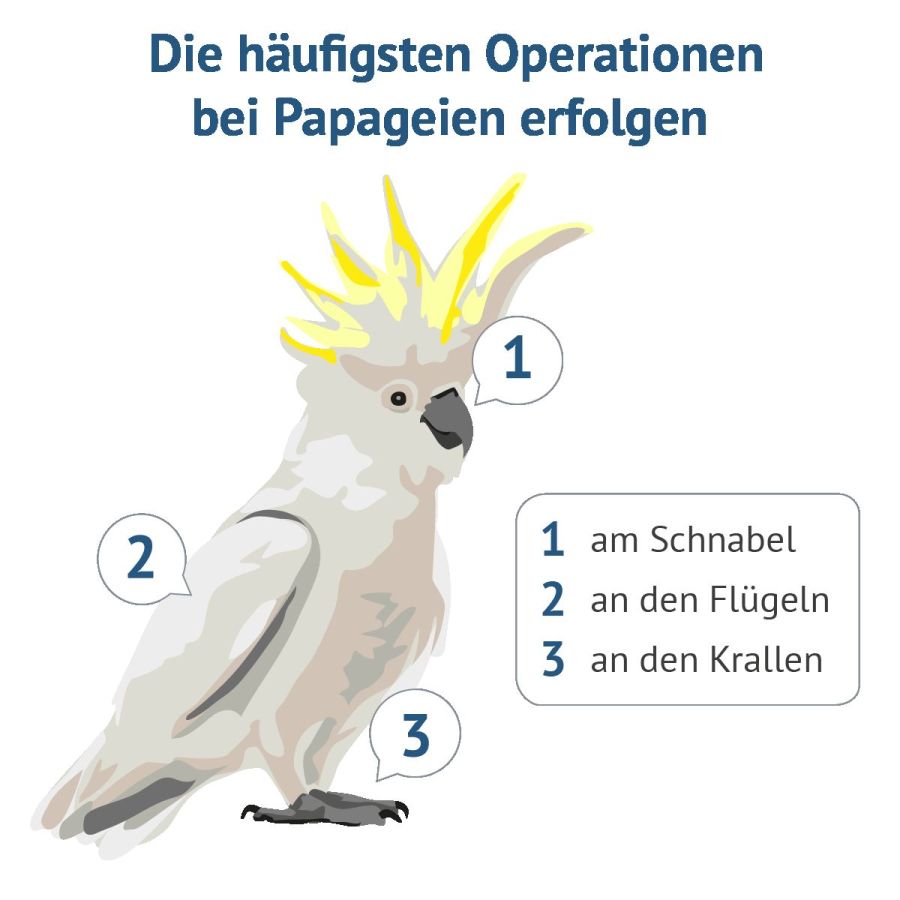 (© Grafik: © vs vergleichen-und-sparen GmbH) (© Grafik: © vs vergleichen-und-sparen GmbH)