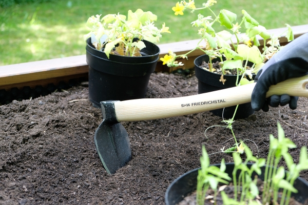 Kompakte SHW Herzhacke mit 45 cm Eschen-Kuhfuß-Stiel für feine Gartenarbeiten (Die Bildrechte liegen bei dem Verfasser der Mitteilung.) Kompakte SHW Herzhacke mit 45 cm Eschen-Kuhfuß-Stiel für feine Gartenarbeiten (Die Bildrechte liegen bei dem Verfasser der Mitteilung.)