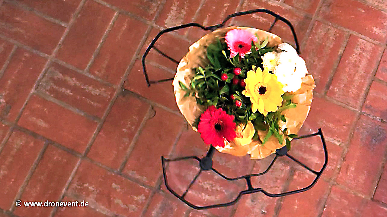 Die Drohne als Blumenkavalier (Die Bildrechte liegen bei dem Verfasser der Mitteilung.) Die Drohne als Blumenkavalier (Die Bildrechte liegen bei dem Verfasser der Mitteilung.)