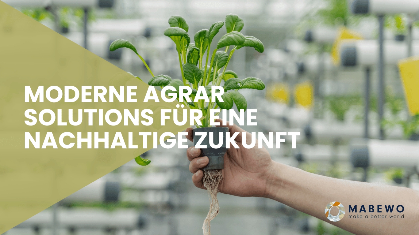 MABEWO - Moderne Agrar Solutions (Die Bildrechte liegen bei dem Verfasser der Mitteilung.) MABEWO - Moderne Agrar Solutions (Die Bildrechte liegen bei dem Verfasser der Mitteilung.)