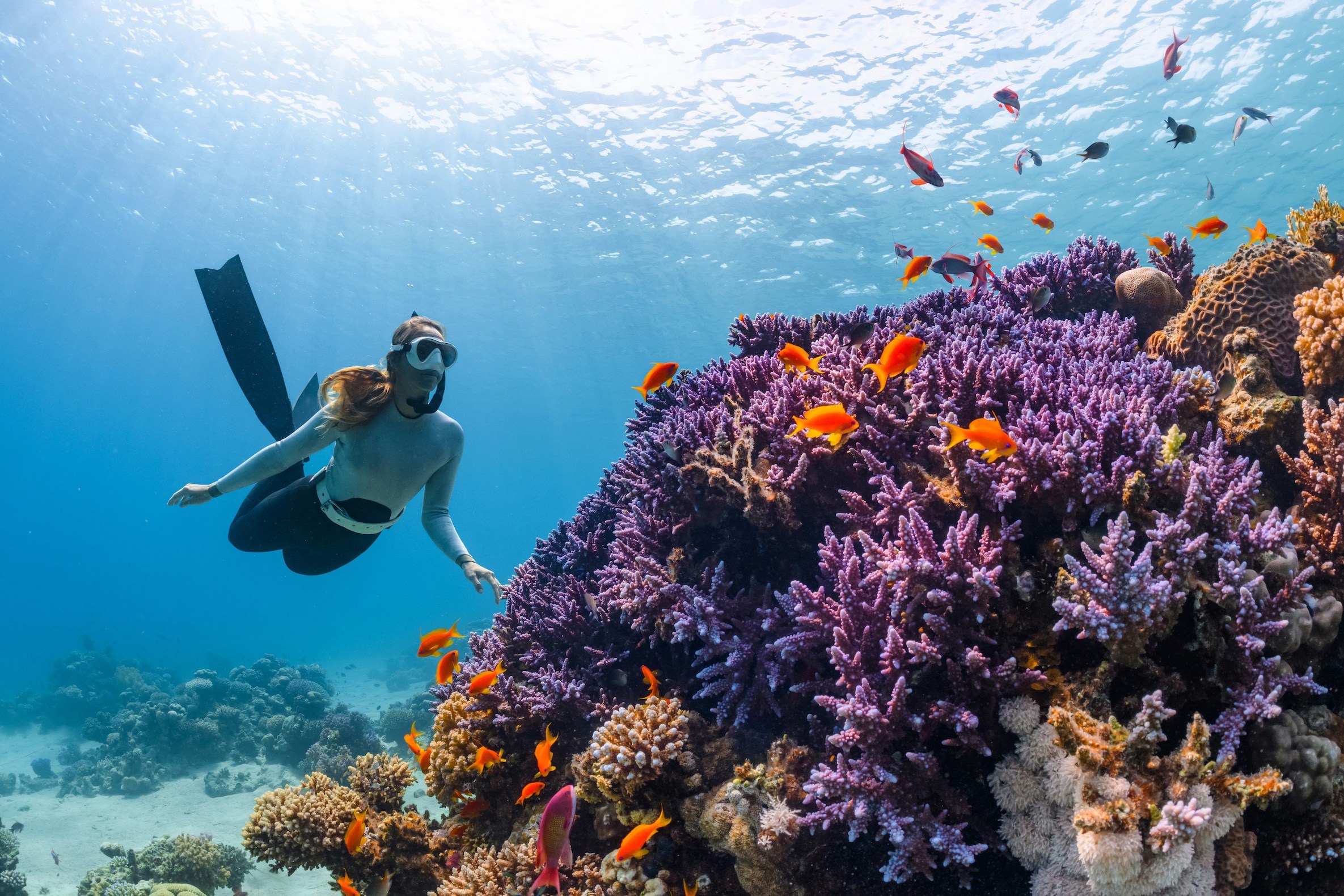 Eintauchen in die bunte Welt der Vielfalt (Bildquelle: NEOM auf Unsplash) Eintauchen in die bunte Welt der Vielfalt (Bildquelle: NEOM auf Unsplash)