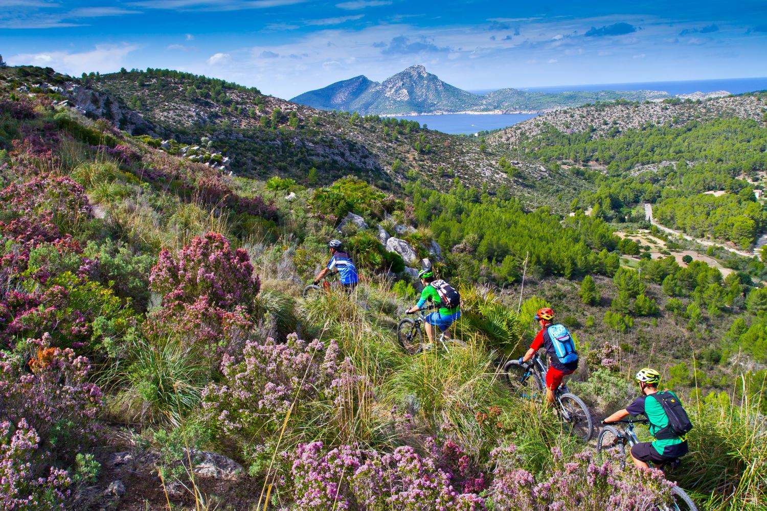 Serra de Tramuntata, Calvià, Mallorca (Die Bildrechte liegen bei dem Verfasser der Mitteilung.)