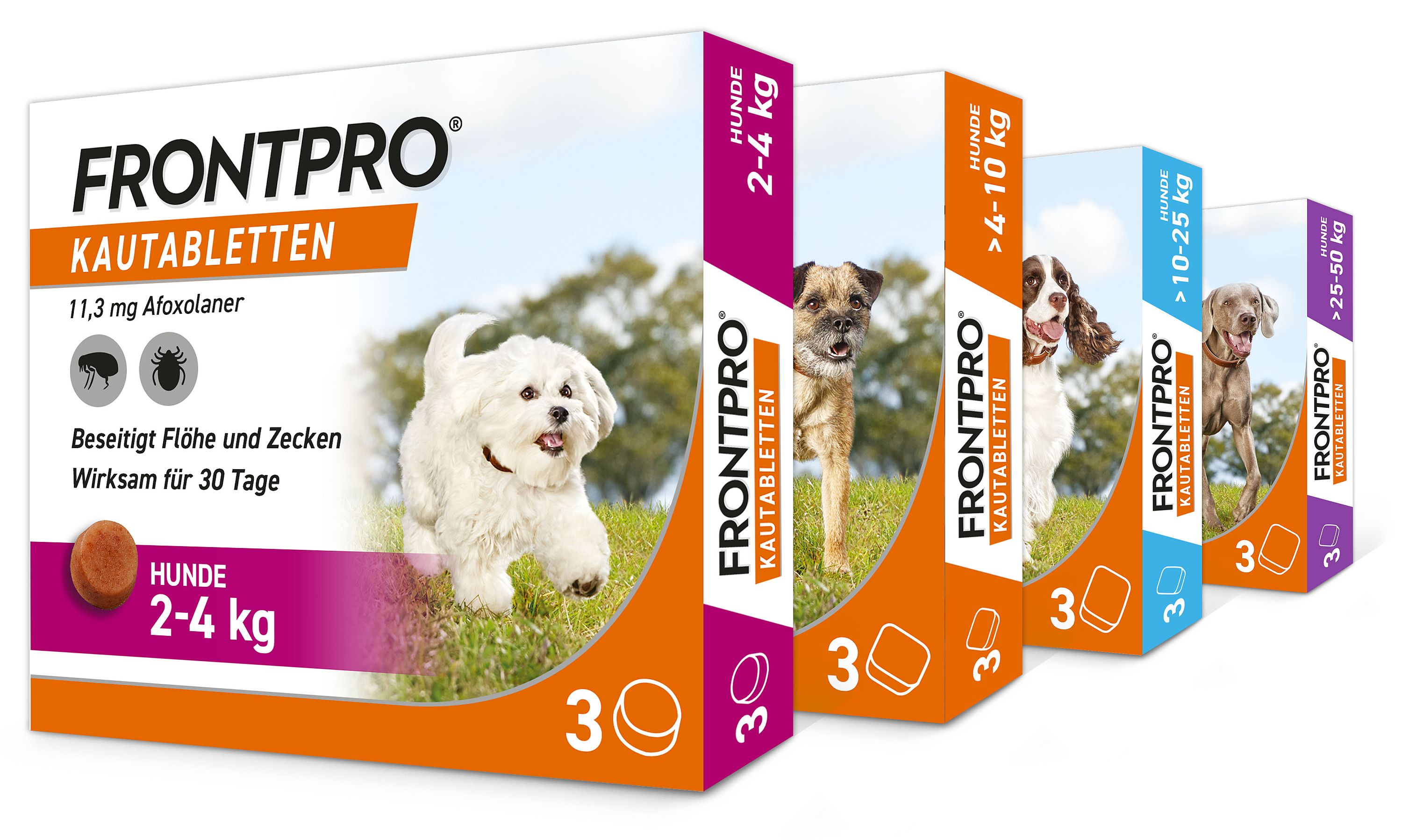 Frontpro®gibt es in vier verschiedenen Gewichtsklassen für Hunde jeder Größe (Bildquelle: @ Boehringer Ingelheim) Frontpro®gibt es in vier verschiedenen Gewichtsklassen für Hunde jeder Größe (Bildquelle: @ Boehringer Ingelheim)