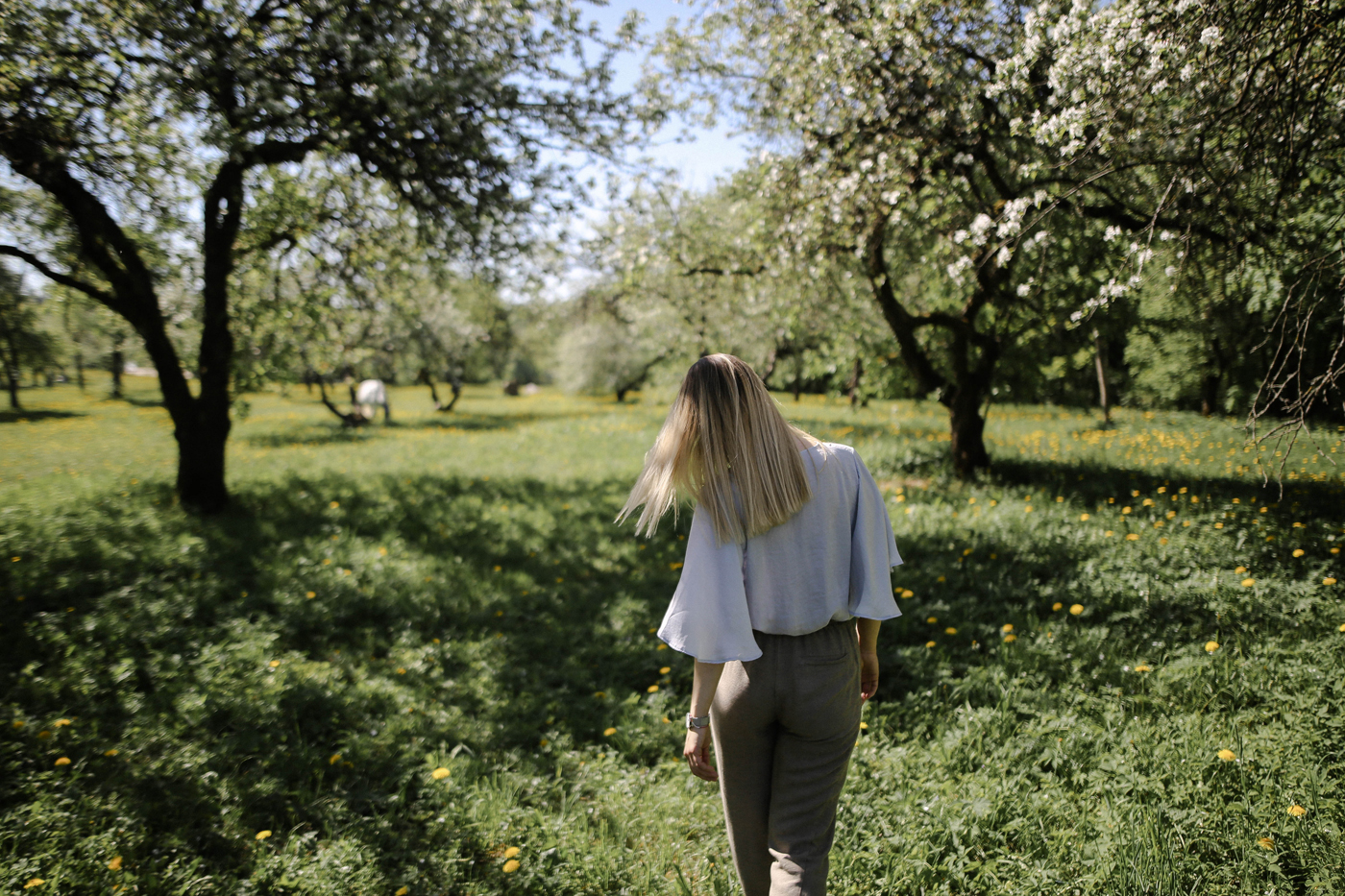 Frühlingsurlaub im Breisgau