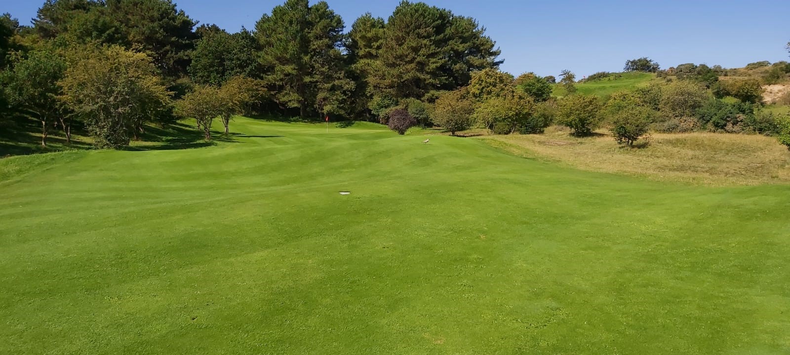 Golf in der Dnenlandschaft von Zandvoort (Bildquelle: Golfbaan The Dunes.)