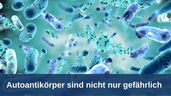 Autoantikörper sind nicht nur gefährlich / Redaktion mediportal-online.eu (Die Bildrechte liegen bei dem Verfasser der Mitteilung.) Autoantikörper sind nicht nur gefährlich / Redaktion mediportal-online.eu (Die Bildrechte liegen bei dem Verfasser der Mitteilung.)