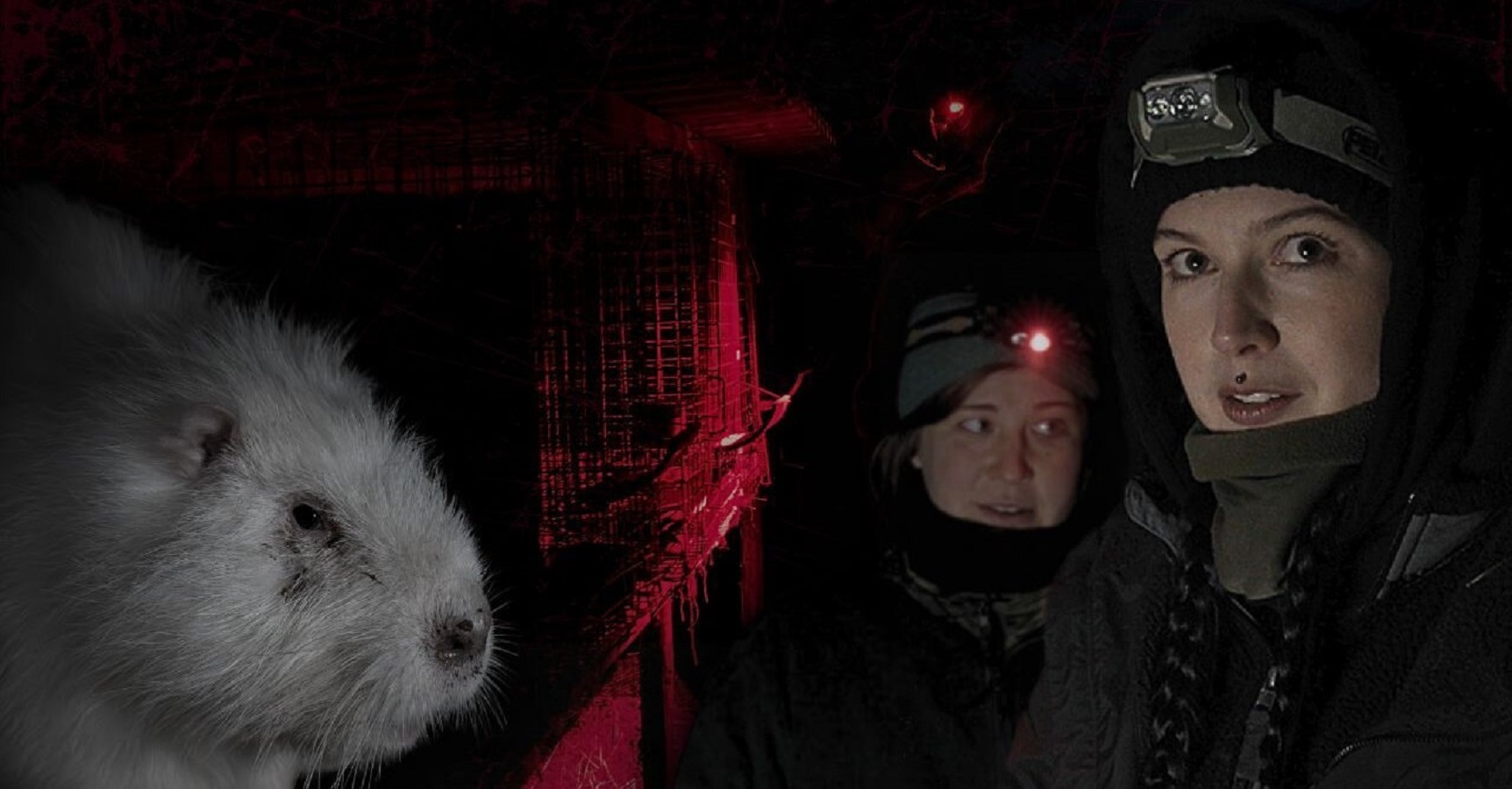 ANINOVA und Moderatorin Victoria Müller decken Tierquälerei auf polnischer Nutria-Pelzfarm ANINOVA und Moderatorin Victoria Müller decken Tierquälerei auf polnischer Nutria-Pelzfarm