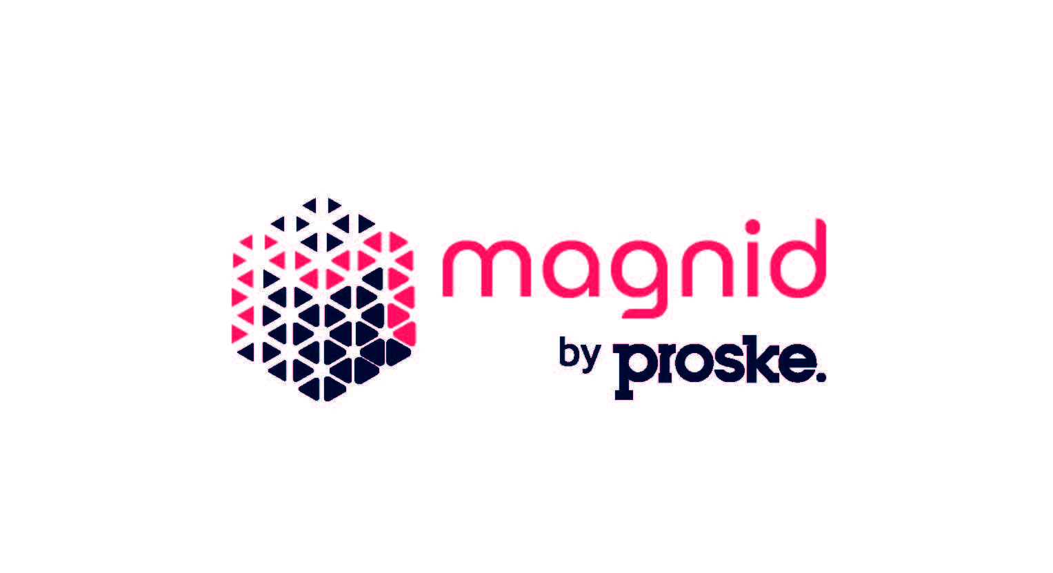 Neues magnid Logo (Grafik: Proske)