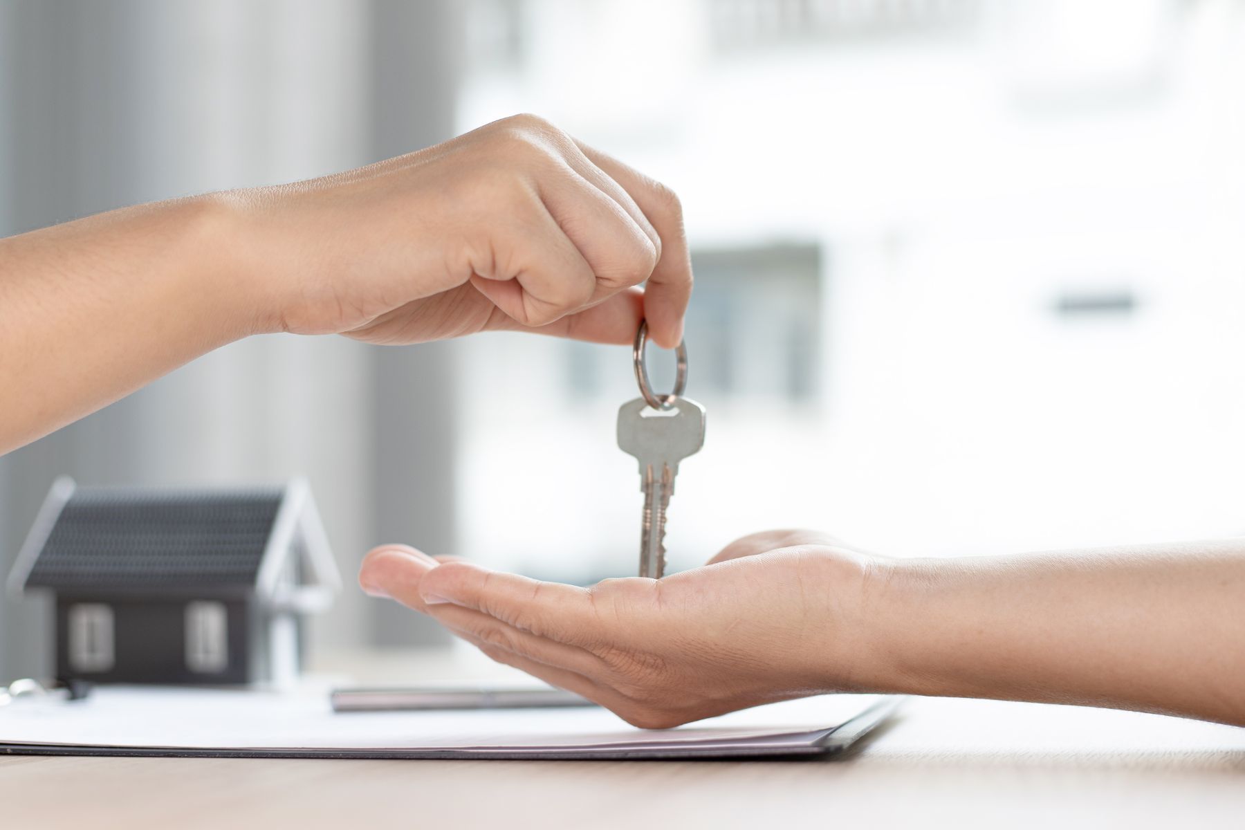Immobilienservice Naumann (Die Bildrechte liegen bei dem Verfasser der Mitteilung.) Immobilienservice Naumann (Die Bildrechte liegen bei dem Verfasser der Mitteilung.)