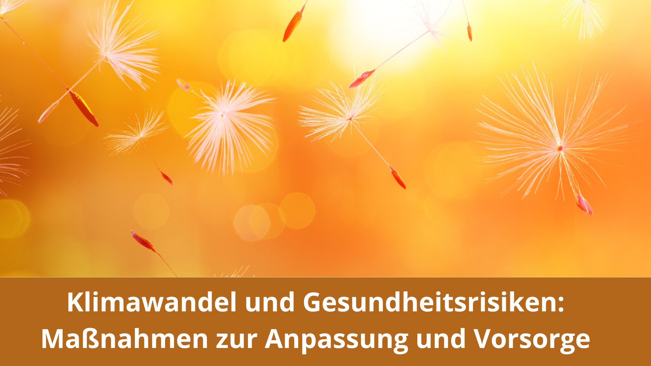 Klimawandel und Gesundheitsrisiken / Redaktion bioresonanz-zukunft.de (Die Bildrechte liegen bei dem Verfasser der Mitteilung.)