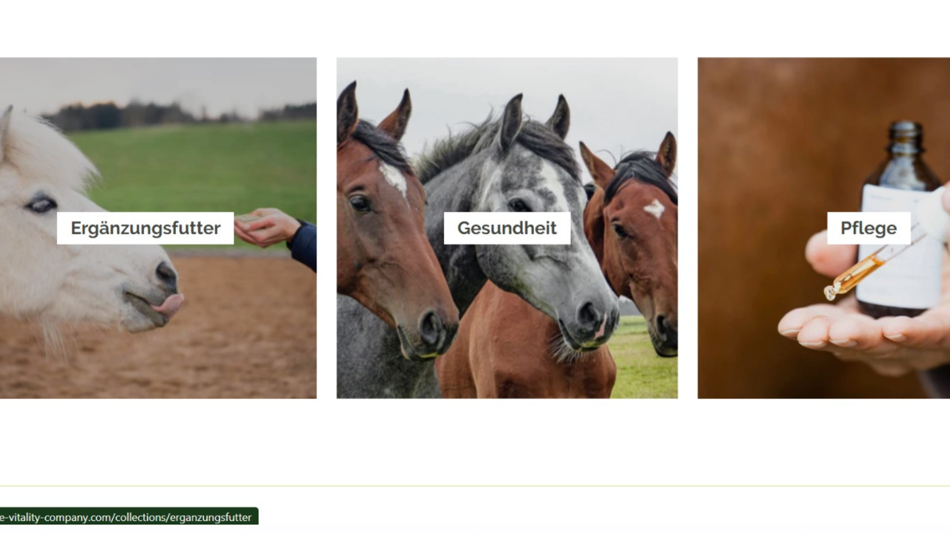 MC Handelsgesellschaft - Horse Vitality Company MC Handelsgesellschaft - Horse Vitality Company
