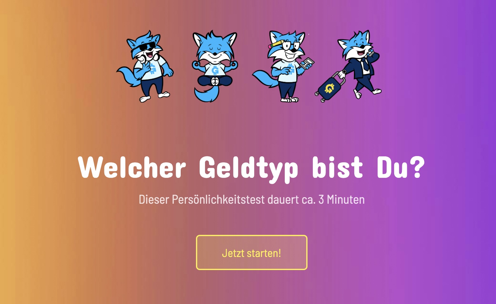 Der Geldtyptest ist frei zugänglich (Die Bildrechte liegen bei dem Verfasser der Mitteilung.) Der Geldtyptest ist frei zugänglich (Die Bildrechte liegen bei dem Verfasser der Mitteilung.)