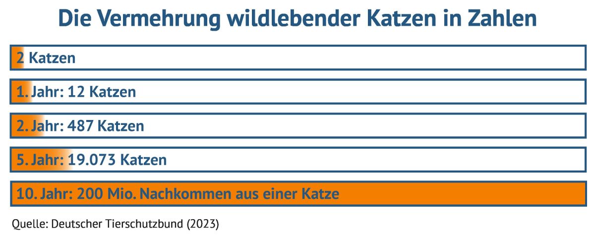 (© Grafik: vs-vergleichen-und-sparen GmbH) (© Grafik: vs-vergleichen-und-sparen GmbH)