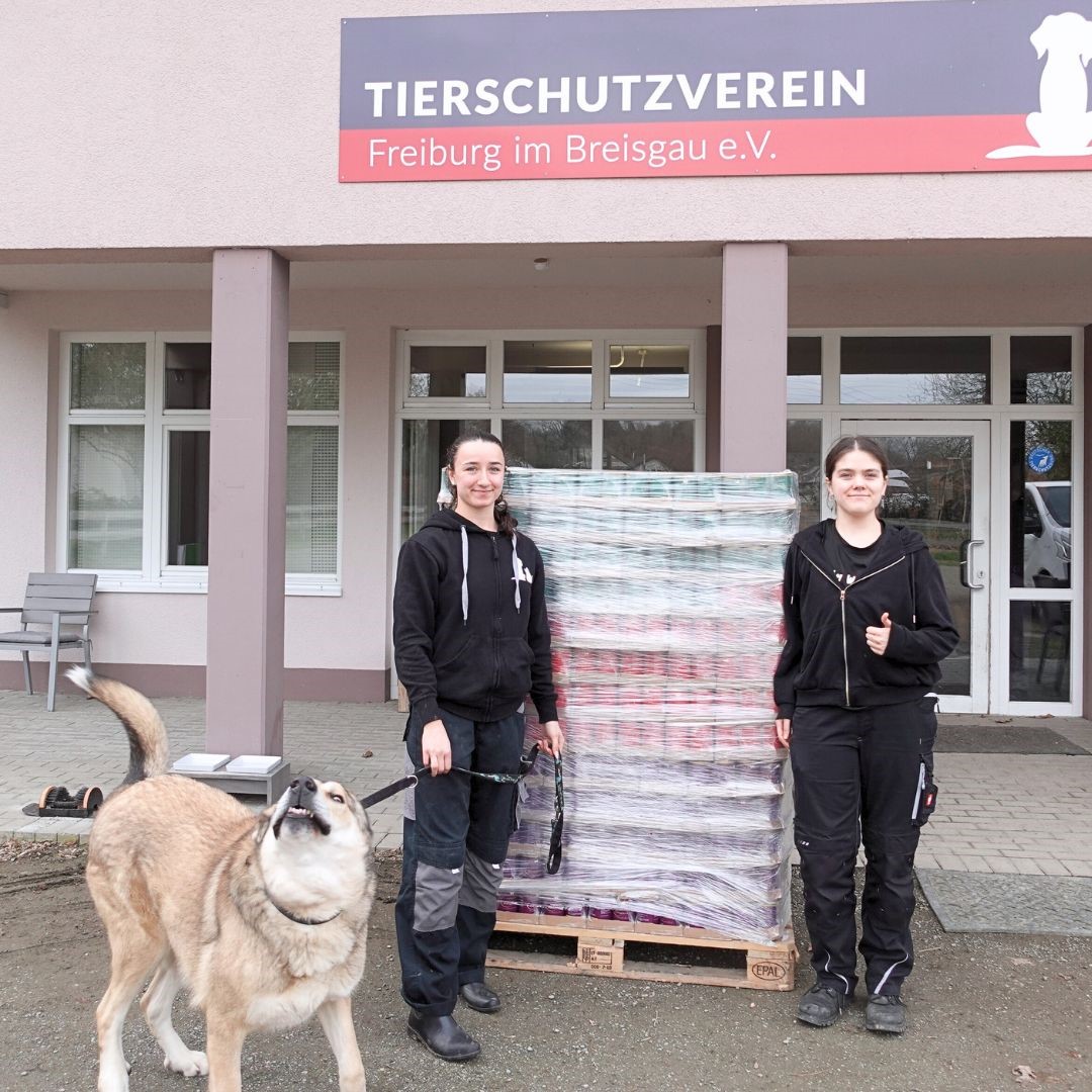 (Die Bildrechte liegen bei dem Verfasser der Mitteilung.)